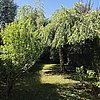 JP Immobilien 